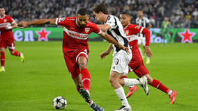 稳定的高质 稳定的高质